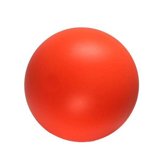 Virtually Indestructible Ball for Dogs 10-Inch